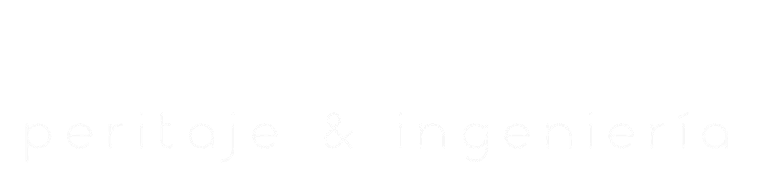 Cortafuegos Peritaje